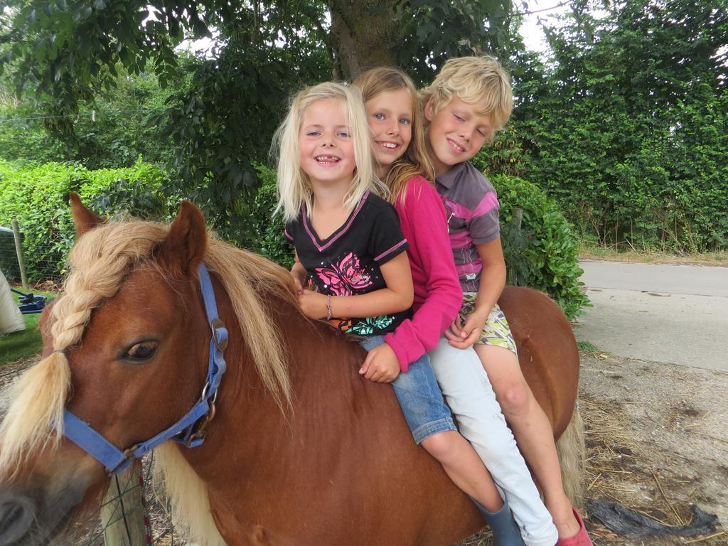 Boerderijcamping Plantlust Veere Quarto foto